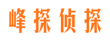 淮阳市调查公司